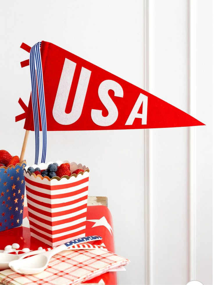 USA Pennant Banner